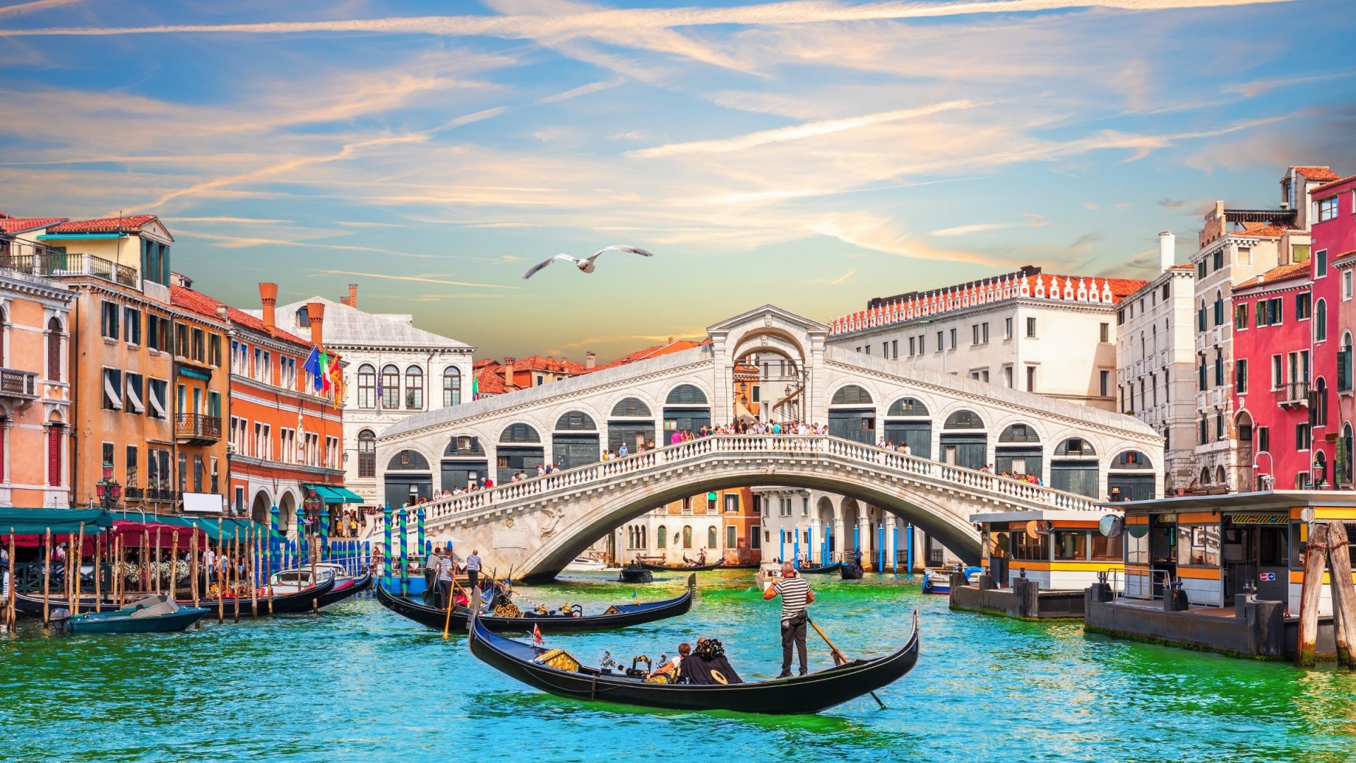 All inclusieve Cruises MSC Armonia - afvaart Athene - Griekenland - Attica - Athene - Cruise Terminal