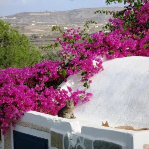 All inclusive Paradise Resort - Akrotiri -  - Griekenland