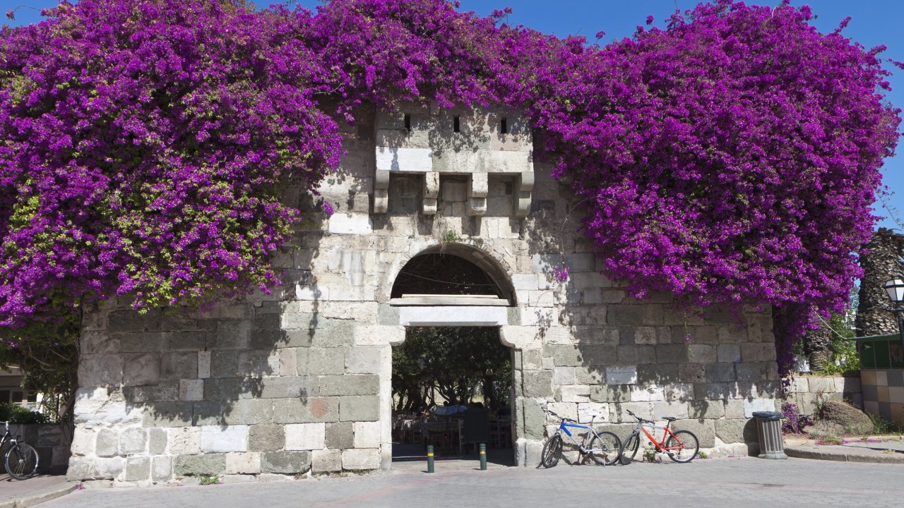 All inclusieve Zonvakanties Alexandra Hotel Kos - Griekenland - Kos - Kos-stad - Afbeelding 7